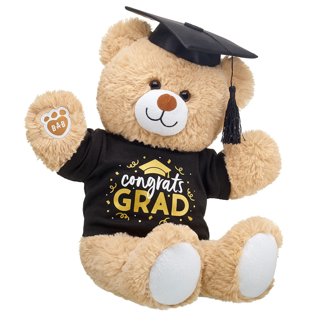 Congrats Grad Teddy Bear Gift Set Shop at Build A Bear