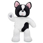Online Exclusive Friendly French Bulldog