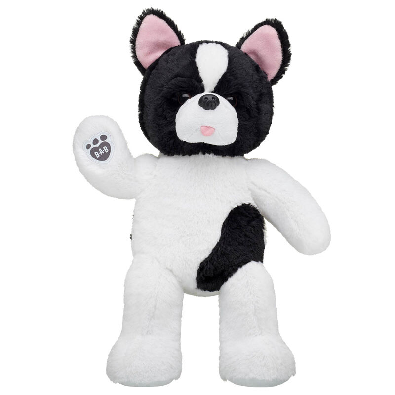 Online Exclusive Friendly French Bulldog