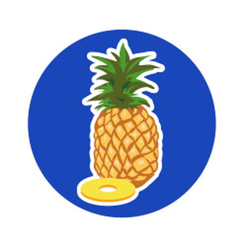 SCENTiments™ Fresh Pineapple Scent