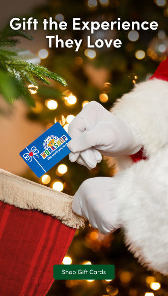 Gift the Experience they love Build A Bear Gift Card