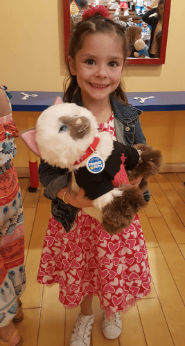 Build-A-Bear Customer