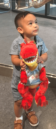 Build-A-Bear Customer