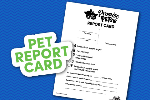 Pet Report Card - Single page printable report card