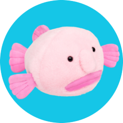 NEW!  Blobfish