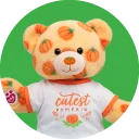 Vault Pumpkin Teddy
