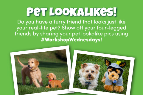 Pet Lookalikes - Photos of pets