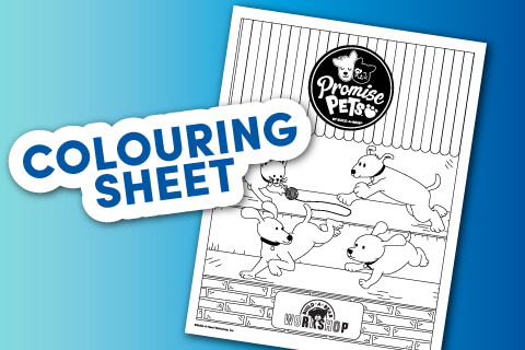Promise Pets Coloring Sheet - Single page coloring sheet of pets playing