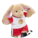 Bear Wearing St Louis Cardinals Gear