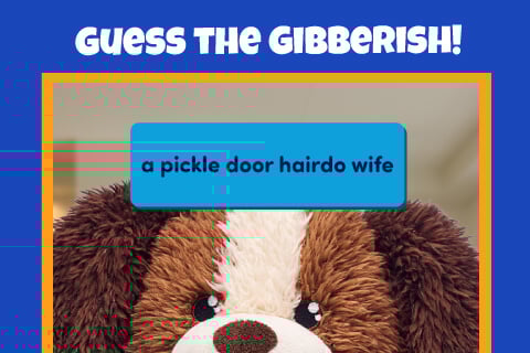 Guess The Gibberish - A pickle door hairdo wife