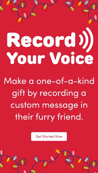 Record your voice Add a special message
