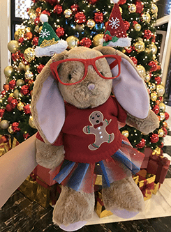Build-A-Bear Customer