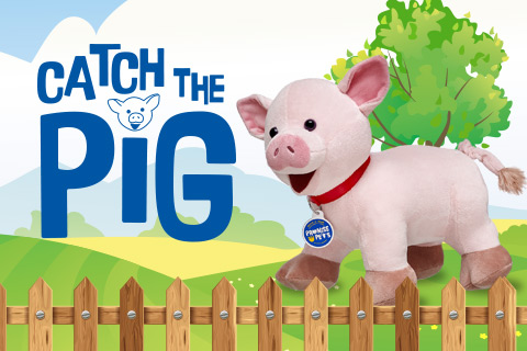 Catch The Pig Game