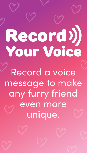 Personalise Any Gift