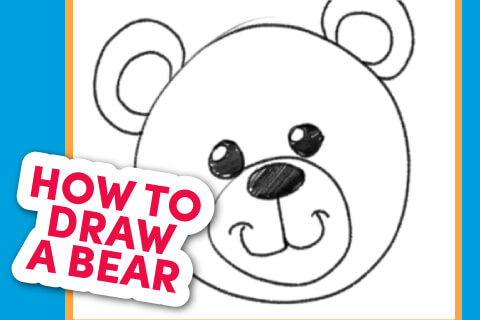 How to Draw a bear - Bear head line drawing