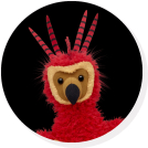 Wizarding World of Harry Potter Fawkes