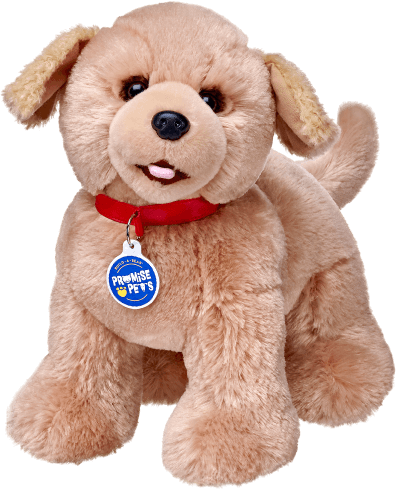 Promise Pets™ Golden Retriever