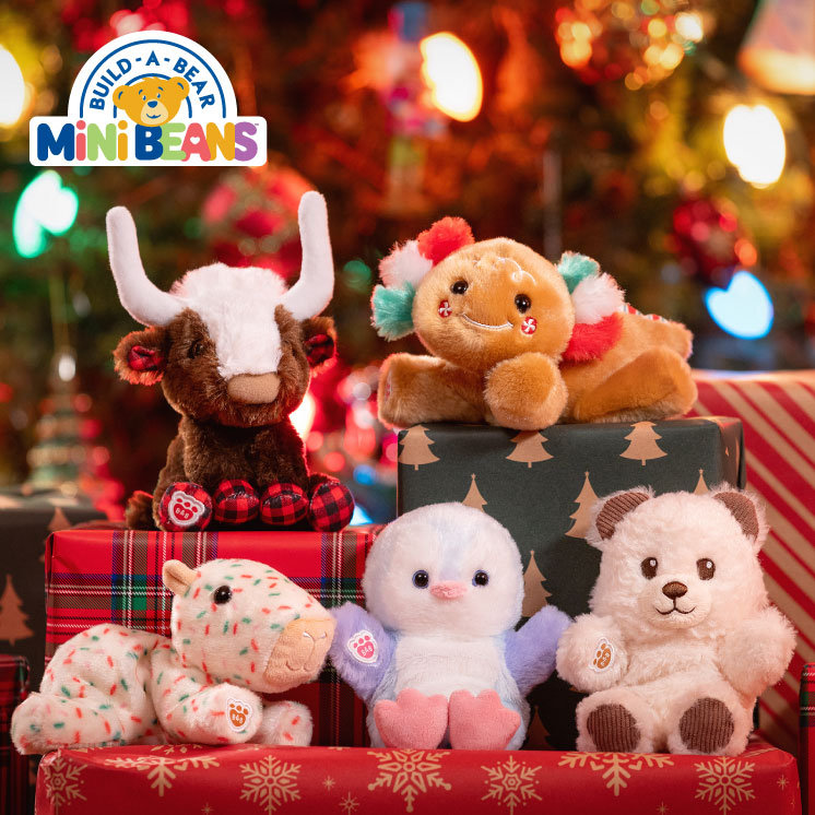 Christmas Build A Bear Mini Bean