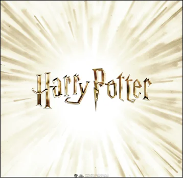 Harry Potter Party Theme