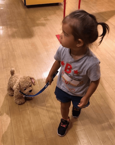 Build-A-Bear Customer