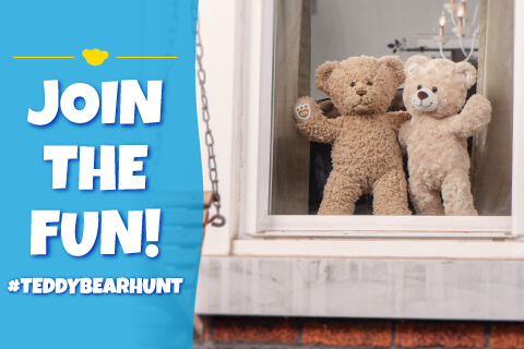Teddy Bear Hunt