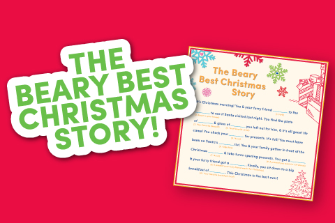 Beary Christmas Story
