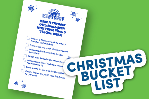 Bucket List - Activity Sheet Thumbnail