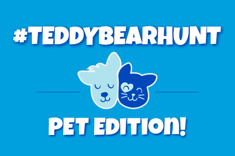 Teddy Bear Hunt Pet Edition - Illustrated animals