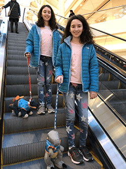 Build-A-Bear Customer