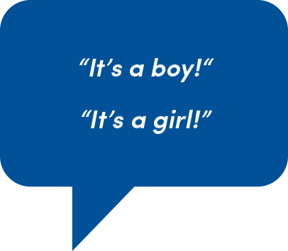 Speech Bubble: It's a boy! It's a girl!