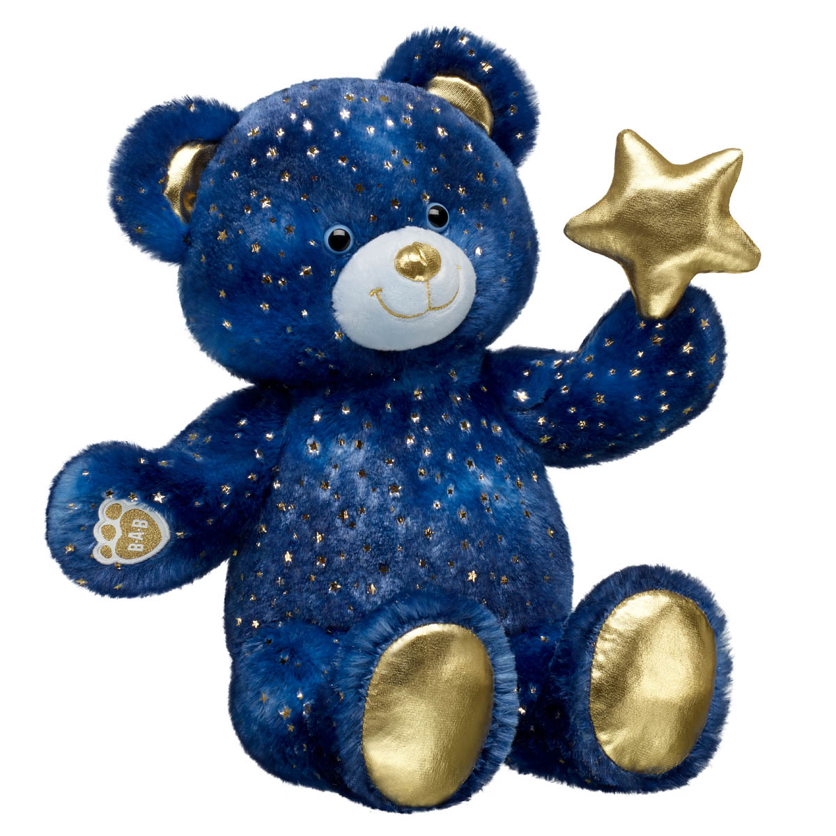 Teddy bear wish on sale